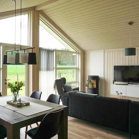 Holiday Nordlys With Sauna At The Duemmer Lake * Dummer